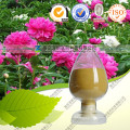 Health Care Produkt Natürliche Paeonia Albiflora Extrakt Paeoniflorin